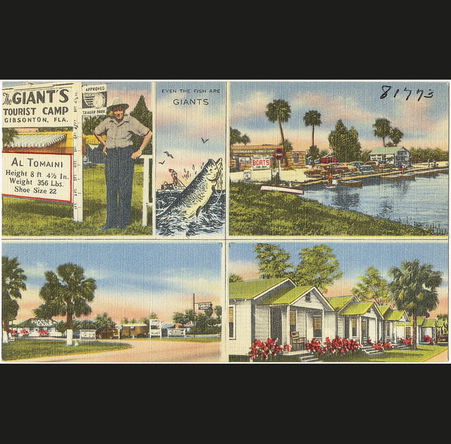 Gibsonton, la ville du cirque