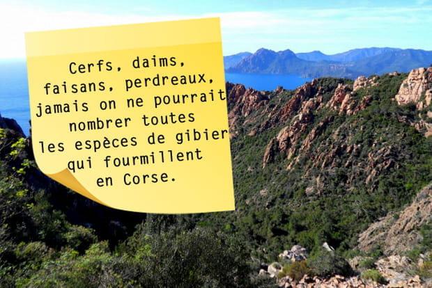 La Corse vue par Prosper Mérimée