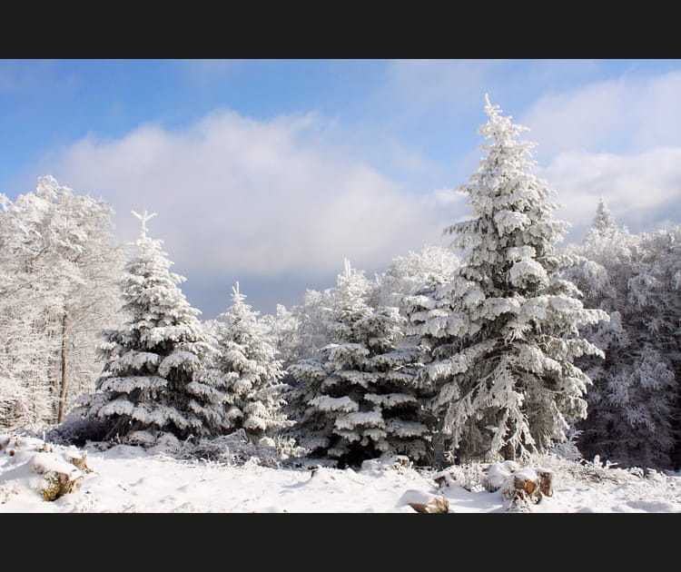 Le massif du Pilat