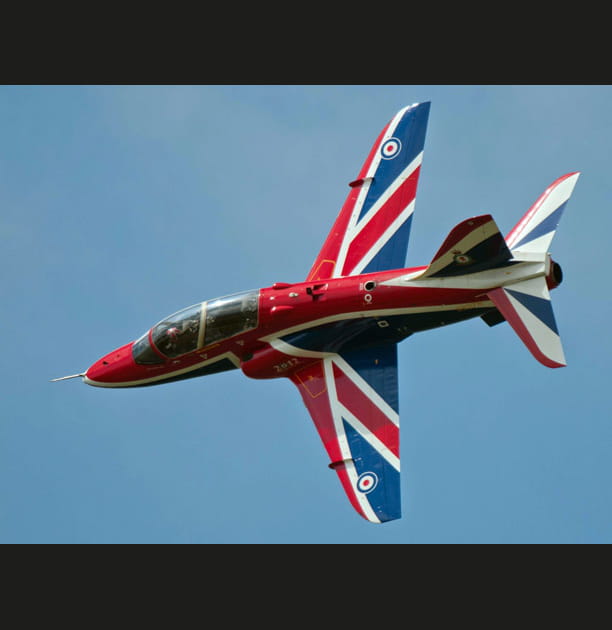 Un oiseau typiquement britannique