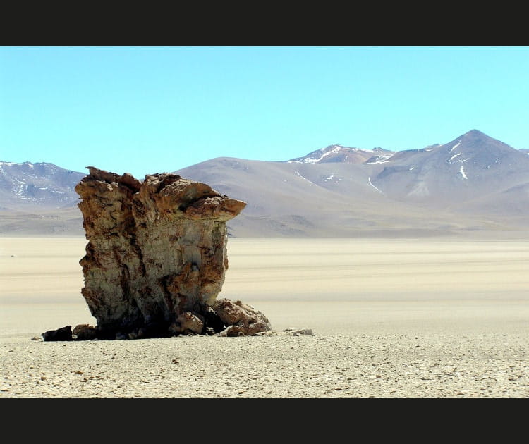 Dali, Bolivie