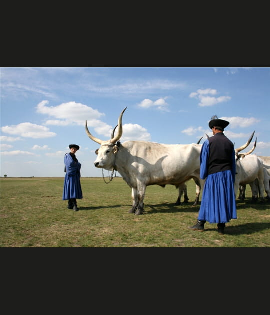 28&egrave;me&nbsp;: la Hongrie