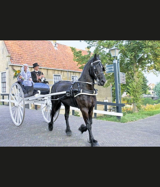 Un petit trajet romantique
