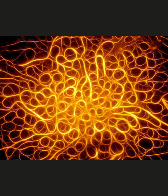 Spaghettis en folie