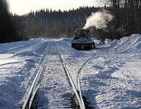 Alaska Express : La bête