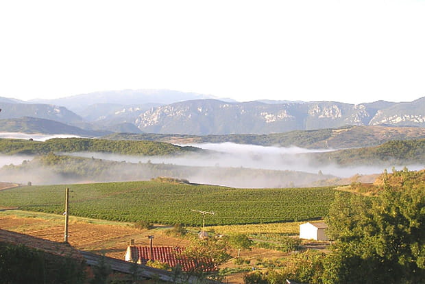 Brume d'été