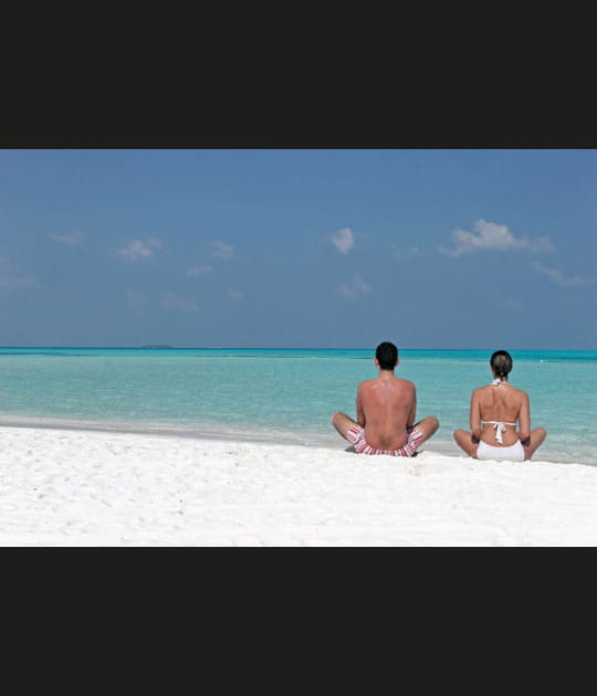 Zen, what else...&nbsp;?