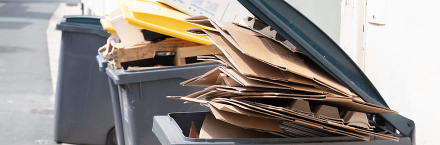 Des cartons tombent de sa poubelle de recyclage, elle re&ccedil;oit une amende tr&egrave;s sal&eacute;e