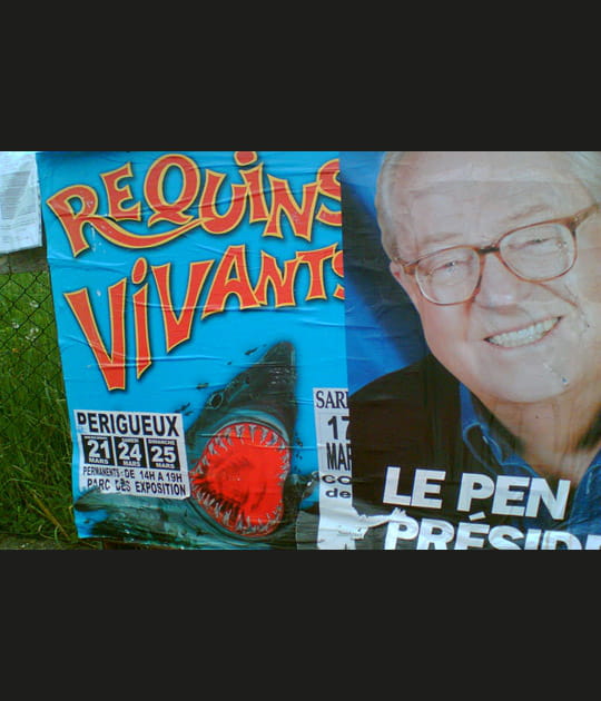 Un homme qui a du mordant