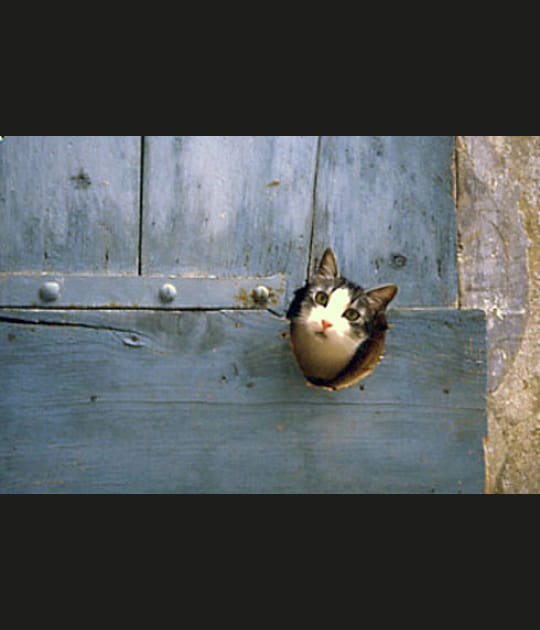 Coucou&nbsp;!