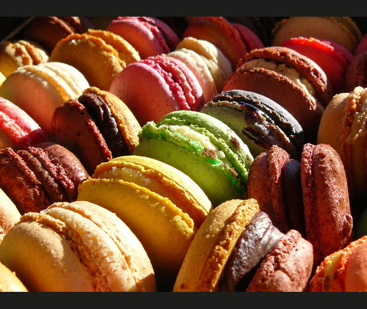 Couleur macaron