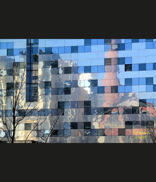 Reflets en mosa&iuml;que