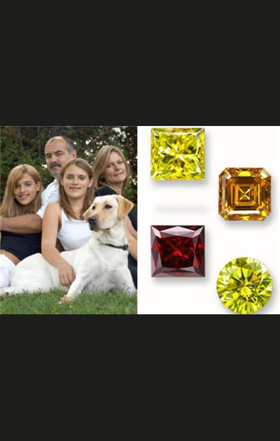 Votre animal devient un diamant
