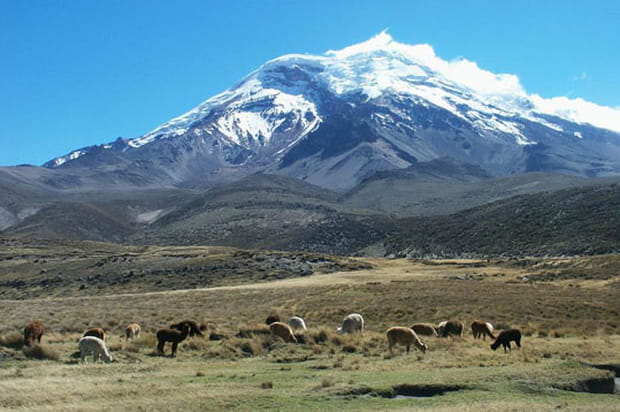 Le volcan Chimborazo, 6 310 m