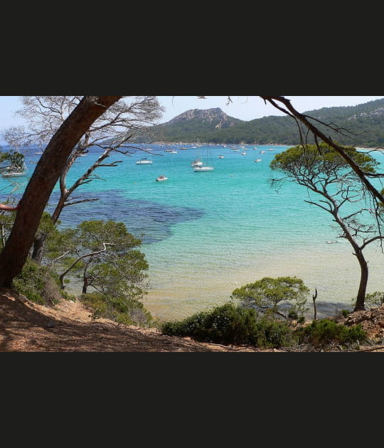A l'abri dans les criques