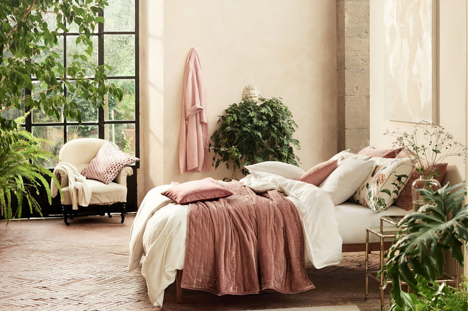 Des plantes dans la chambre