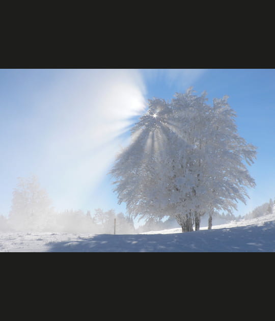 Journ&eacute;e d'hiver