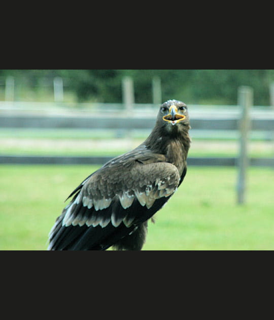 L'inconnu de nos contr&eacute;es