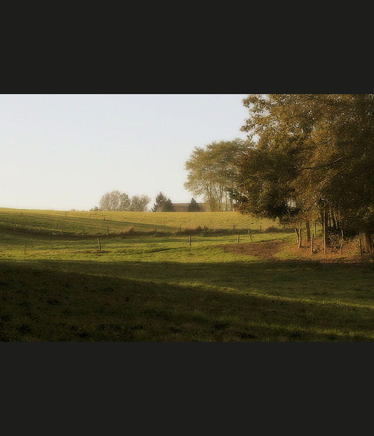 Calme sur la campagne