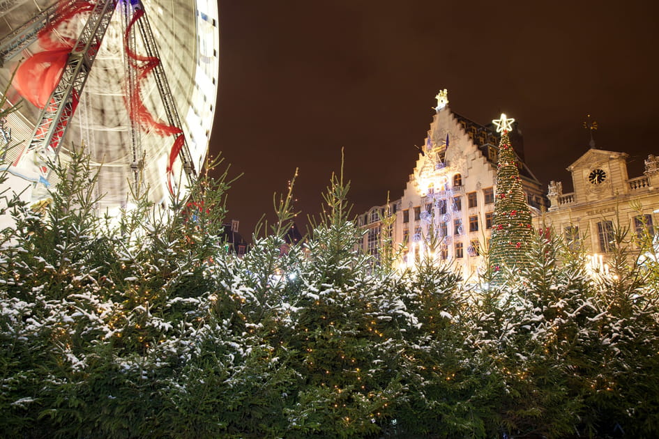 Crèche de Noël à Lille : Une Tradition Vivante au Cœur de la Ville