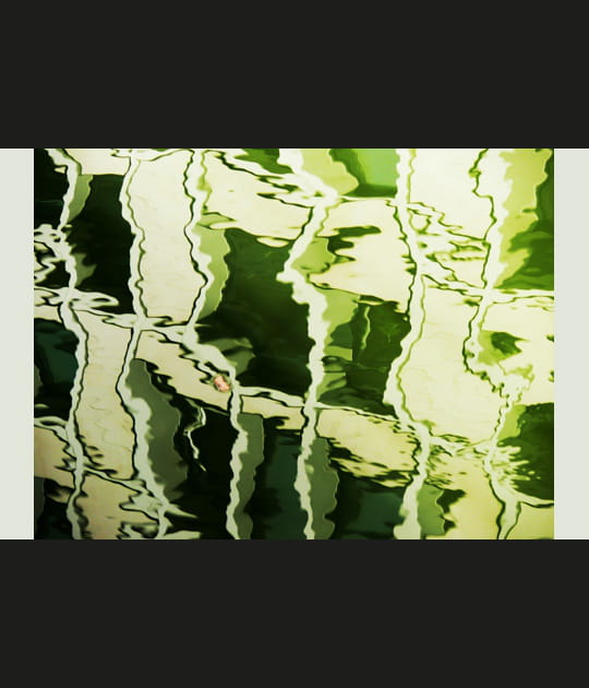 Douceur verte