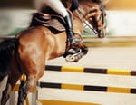 Equitation : Global Champions Tour