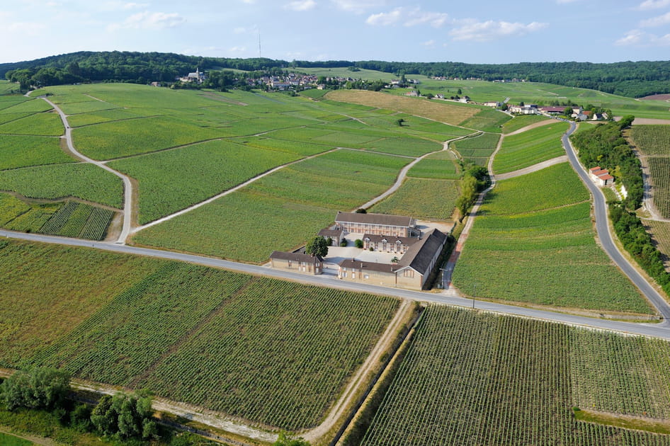 Les c&ocirc;teaux historiques de Hautvillers et vendengeoir Ste H&eacute;l&egrave;ne