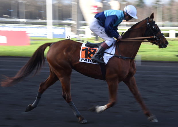 Un superdimanche à l'Hippodrome de Vincennes
