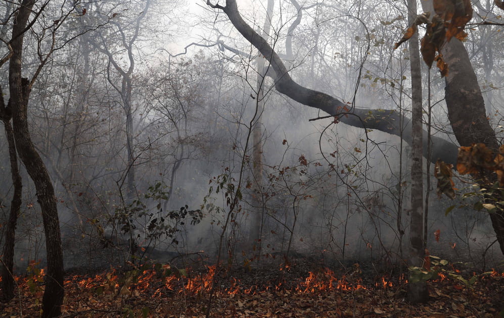 Un patrimoine &eacute;cologique en danger