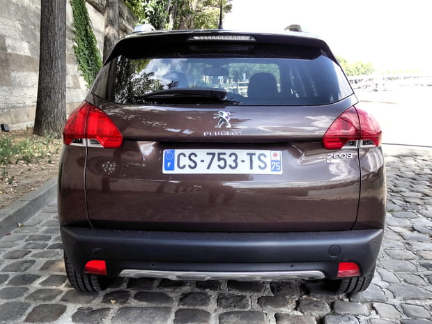 Petite mais costaude