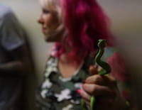 Snakes in the City : Cauchemar au bureau