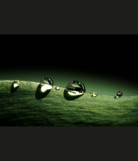 D&eacute;fil&eacute; de gouttes d'eau