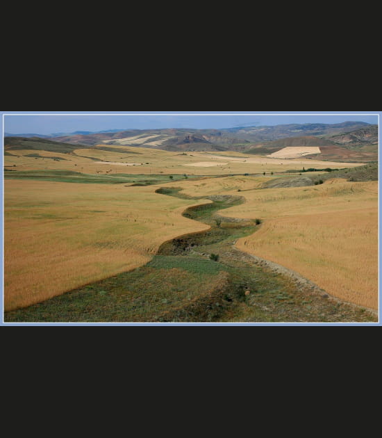 C&eacute;r&eacute;ales