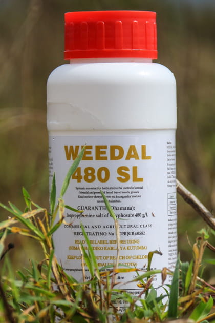 ...et la sortie du glyphosate