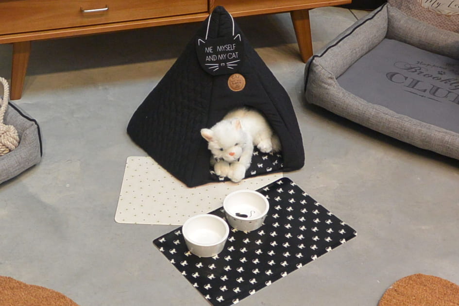 Un tipi pour les chats