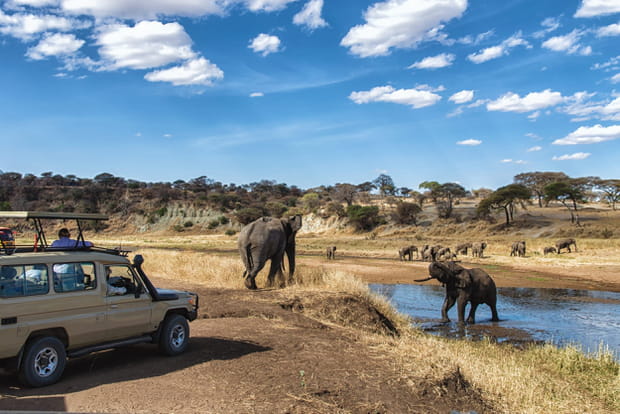 Le parc national du Serengeti, en Tanzanie