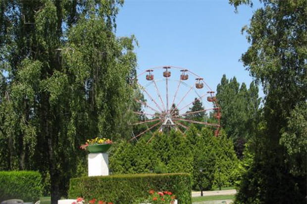 Entre désert et oasis