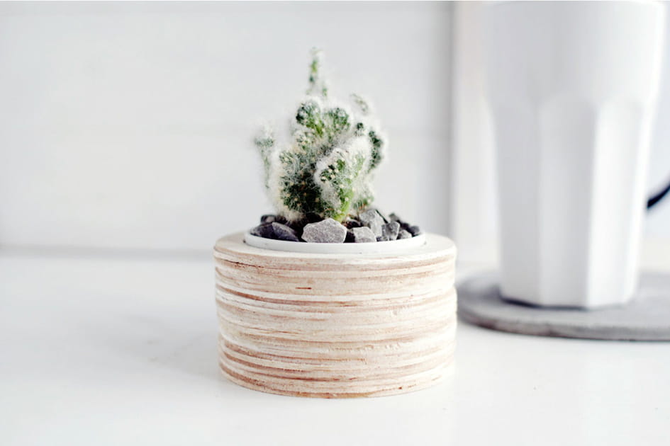 Un cache-pot naturel