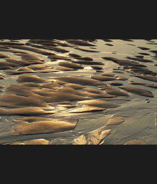 Sables &eacute;mouvants
