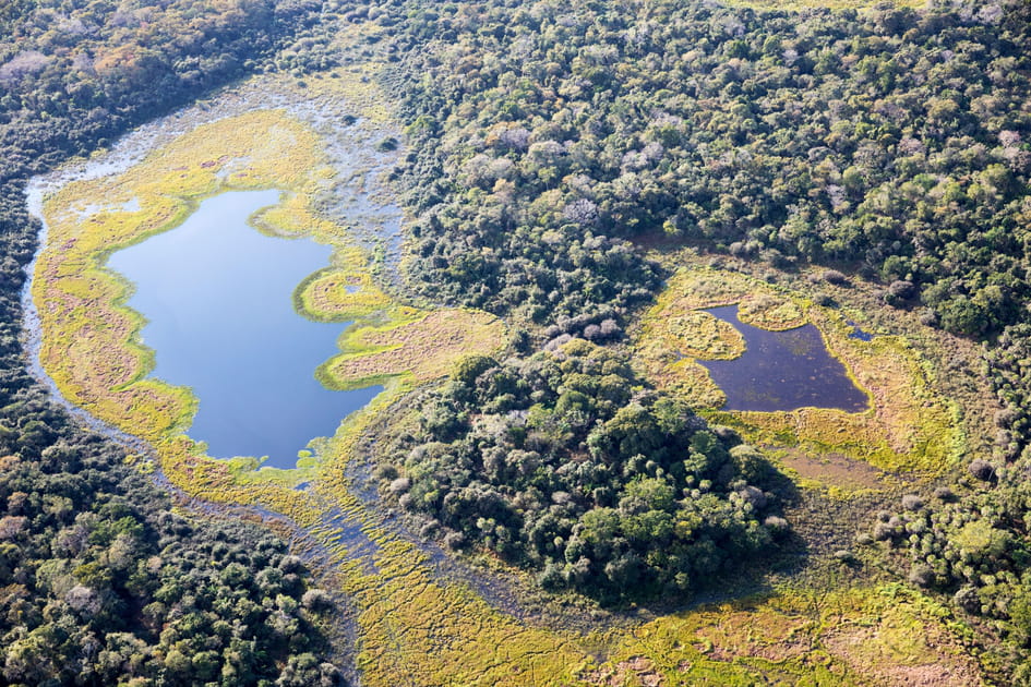 Nhecol&acirc;ndia, la r&eacute;gion la plus sauvage du Pantanal sud