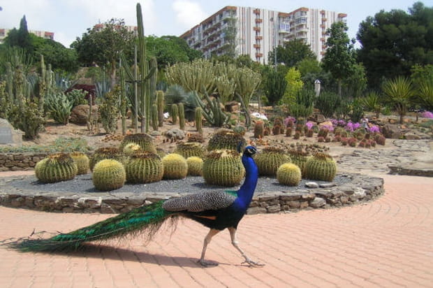 La fierté incarnée
