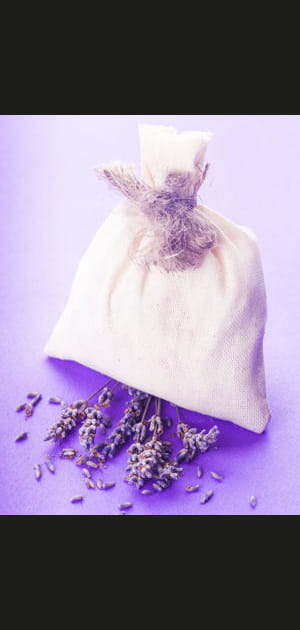 Mettre des sachets de lavande