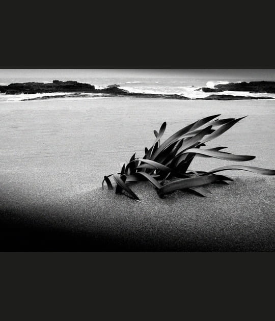 Le sable marocain