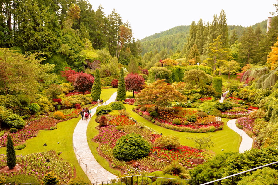 Les Butchart Gardens au Canada