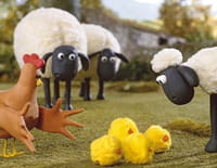 Shaun le mouton : Shaun cherche le coq