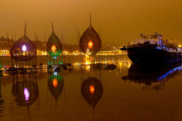 Les berges du Rhône