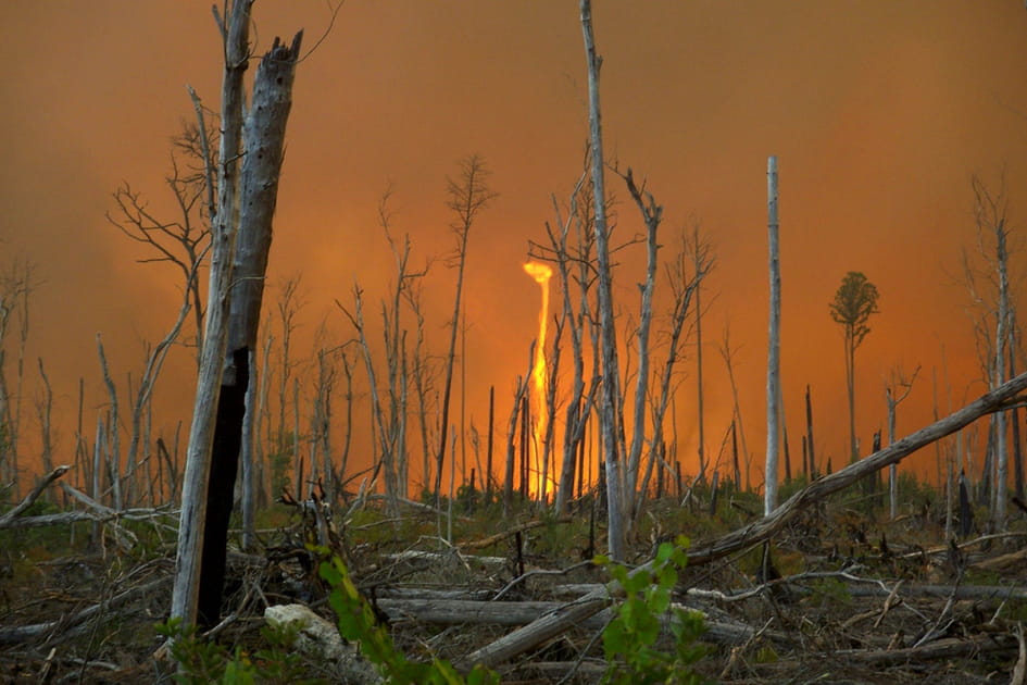Les tornades de feu