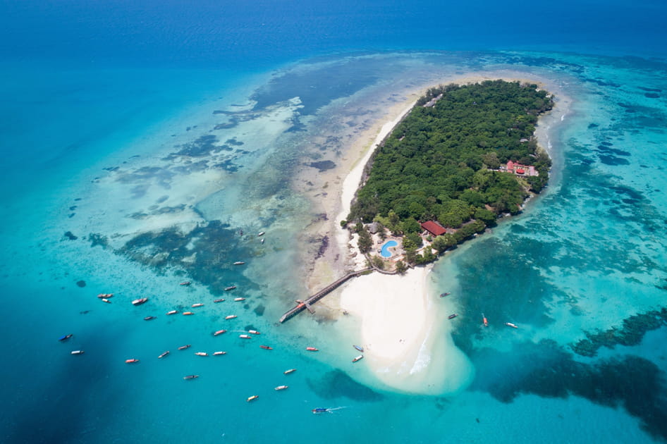 Prison Island&nbsp;: de bagne &agrave; paradis des tortues, un destin incroyable