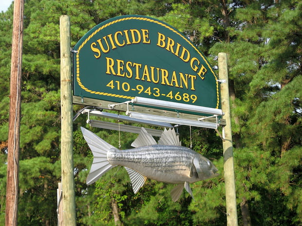 Le Suicide Bridge au Maryland : le pont au suicide