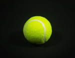 Tennis : Tournoi WTA de Cincinnati